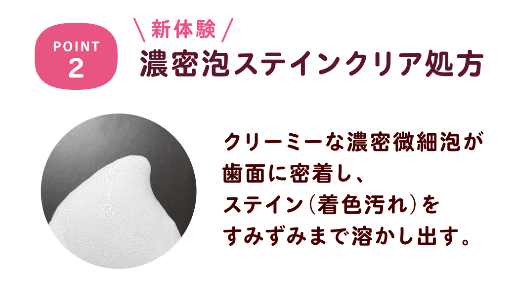 POINT2 新体験 濃密泡ステインクリア処方 クリーミーな濃密微細泡が歯面に密着し、ステイン(着色汚れ)をすみずみまで溶かし出す。