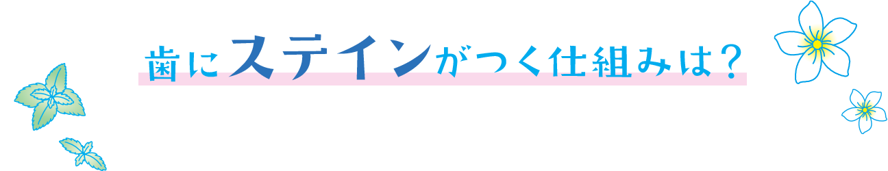 歯にステインがつく仕組みは？