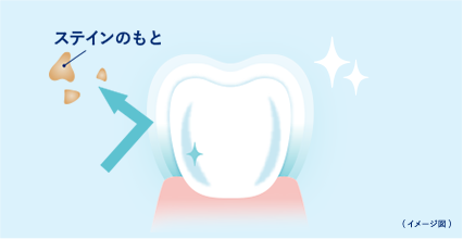 ステインコントロール成分（イメージ図）