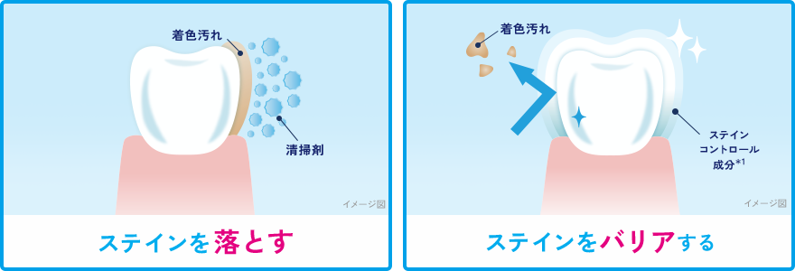 ステインを落とす、ステインをバリアする