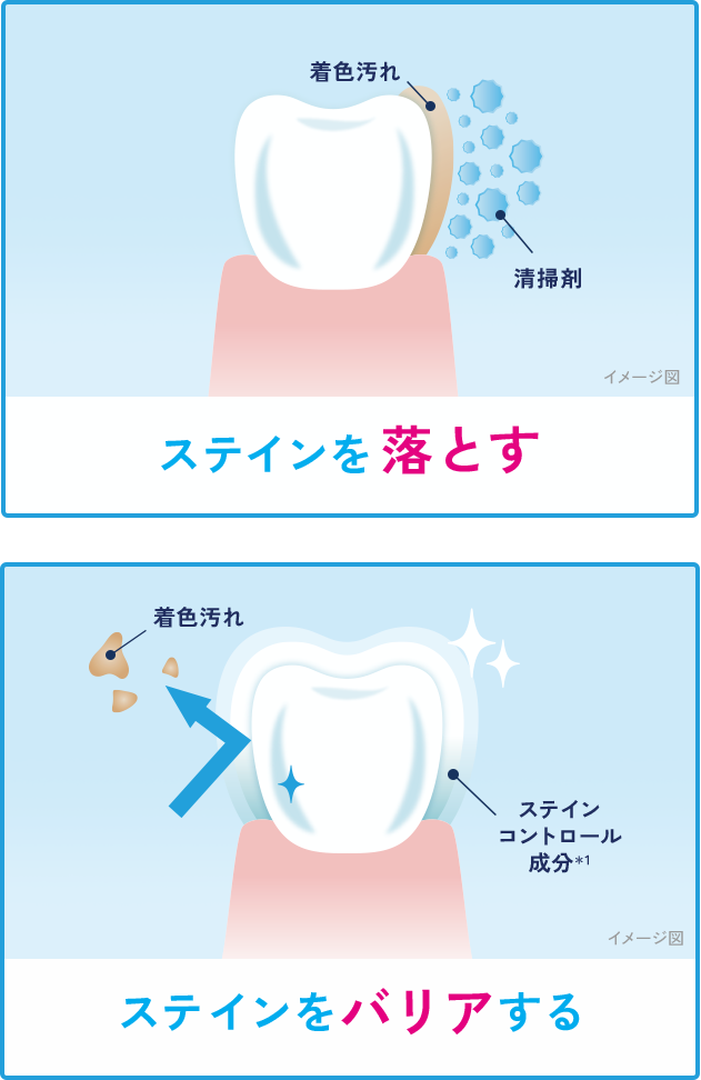 ステインを落とす（清掃剤が着色汚れを落とすイメージ図）ステインをバリアする（ステインコントロール成分＊1が着色汚れを防ぐイメージ図）