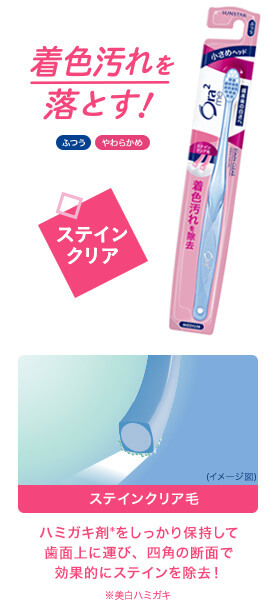 着色汚れを落とす！ステインクリア ふつう／やわらかめ ステインクリア毛（イメージ図） ハミガキ剤※をしっかり保持して歯面上に運び、四角の断面で効果的にステインを除去! ※美白歯磨き