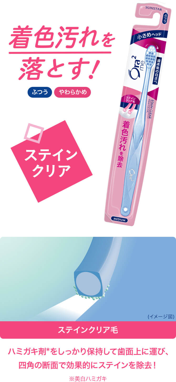 着色汚れを落とす！ステインクリア ふつう／やわらかめ ステインクリア毛（イメージ図） ハミガキ剤※をしっかり保持して歯面上に運び、四角の断面で効果的にステインを除去! ※美白歯磨き