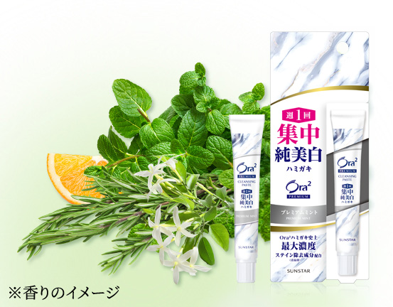 プレミアムミントの商品写真