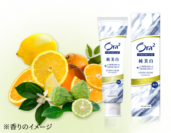 シャイニーシトラスミントの商品写真
